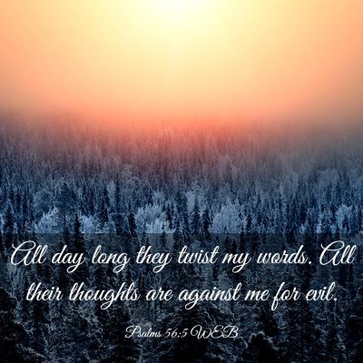 Picture 03 - Psalms 56:5 WEB - All day long they twist my words. All their - Bible Verse Picture