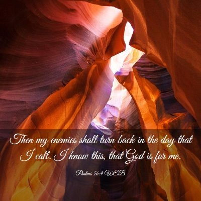 Picture 03 - Psalms 56:9 WEB - Then my enemies shall turn back in the day that I - Bible Verse Picture