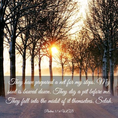Picture 03 - Psalms 57:6 WEB - They have prepared a net for my steps. My soul is - Bible Verse Picture