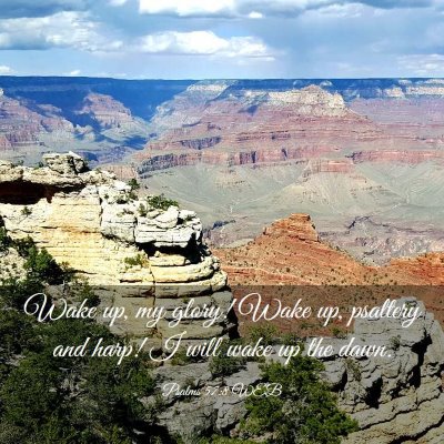 Picture 03 - Psalms 57:8 WEB - Wake up, my glory! Wake up, psaltery and harp! I - Bible Verse Picture