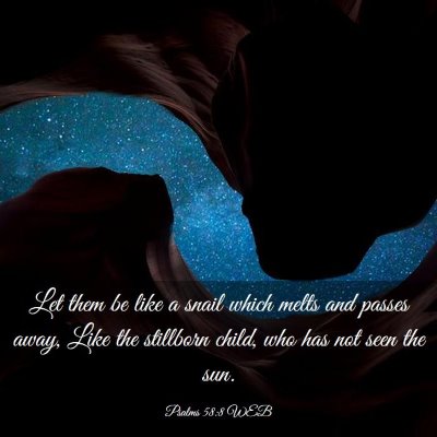 Picture 03 - Psalms 58:8 WEB - Let them be like a snail which melts and passes - Bible Verse Picture