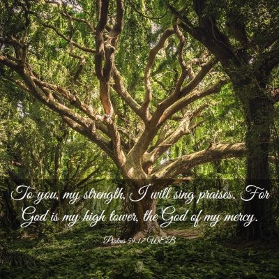 Picture 03 - Psalms 59:17 WEB - To you, my strength, I will sing praises. For God - Bible Verse Picture