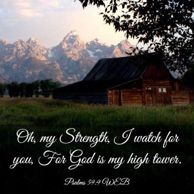 Picture 03 - Psalms 59:9 WEB - Oh, my Strength, I watch for you, For God is my - Bible Verse Picture