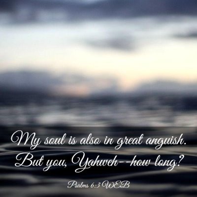 Picture 03 - Psalms 6:3 WEB - My soul is also in great anguish. But you, - Bible Verse Picture