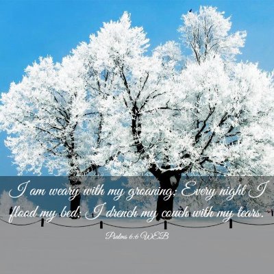 Picture 03 - Psalms 6:6 WEB - I am weary with my groaning; Every night I flood - Bible Verse Picture