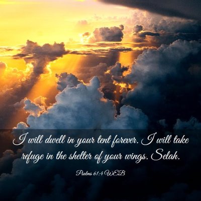 Picture 03 - Psalms 61:4 WEB - I will dwell in your tent forever. I will take - Bible Verse Picture