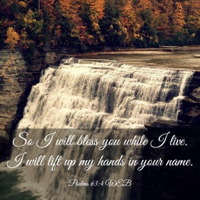 Picture 03 - Psalms 63:4 WEB - So I will bless you while I live. I will lift up - Bible Verse Picture