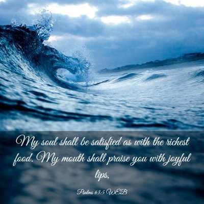 Picture 03 - Psalms 63:5 WEB - My soul shall be satisfied as with the richest - Bible Verse Picture
