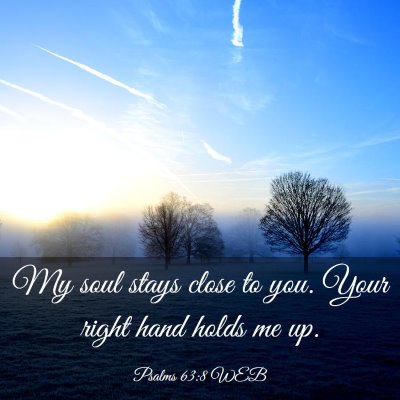 Picture 03 - Psalms 63:8 WEB - My soul stays close to you. Your right hand holds - Bible Verse Picture
