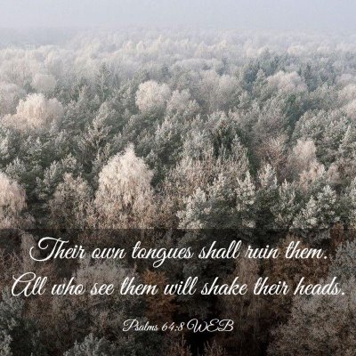 Picture 03 - Psalms 64:8 WEB - Their own tongues shall ruin them. All who see - Bible Verse Picture