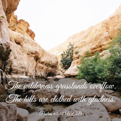 Picture 03 - Psalms 65:12 WEB - The wilderness grasslands overflow. The hills are - Bible Verse Picture
