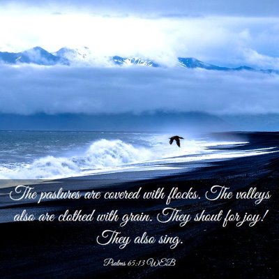 Picture 03 - Psalms 65:13 WEB - The pastures are covered with flocks. The valleys - Bible Verse Picture