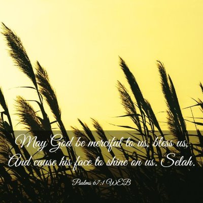 Picture 03 - Psalms 67:1 WEB - May God be merciful to us, bless us, And cause - Bible Verse Picture
