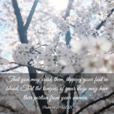 Picture 03 - Psalms 68:23 WEB - That you may crush them, dipping your foot in - Bible Verse Picture