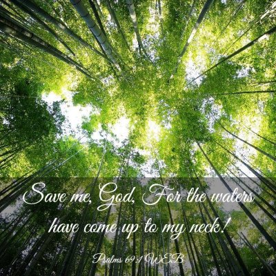 Picture 03 - Psalms 69:1 WEB - Save me, God, For the waters have come up to my - Bible Verse Picture