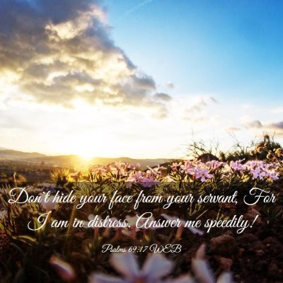 Picture 03 - Psalms 69:17 WEB - Don't hide your face from your servant, For I am - Bible Verse Picture