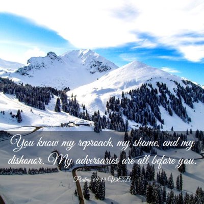 Picture 03 - Psalms 69:19 WEB - You know my reproach, my shame, and my dishonor. - Bible Verse Picture