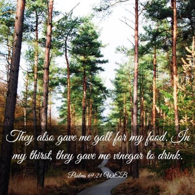 Picture 03 - Psalms 69:21 WEB - They also gave me gall for my food. In my thirst, - Bible Verse Picture
