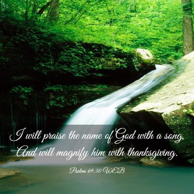 Picture 03 - Psalms 69:30 WEB - I will praise the name of God with a song, And - Bible Verse Picture