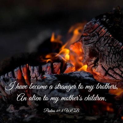Picture 03 - Psalms 69:8 WEB - I have become a stranger to my brothers, An alien - Bible Verse Picture
