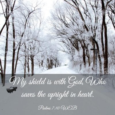 Picture 03 - Psalms 7:10 WEB - My shield is with God, Who saves the upright in - Bible Verse Picture