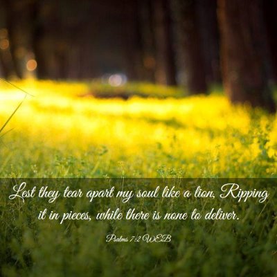 Picture 03 - Psalms 7:2 WEB - Lest they tear apart my soul like a lion, Ripping - Bible Verse Picture