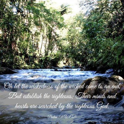 Picture 03 - Psalms 7:9 WEB - Oh let the wickedness of the wicked come to an - Bible Verse Picture