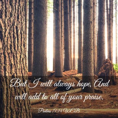 Picture 03 - Psalms 71:14 WEB - But I will always hope, And will add to all of - Bible Verse Picture
