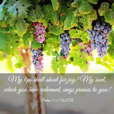 Picture 03 - Psalms 71:23 WEB - My lips shall shout for joy! My soul, which you - Bible Verse Picture