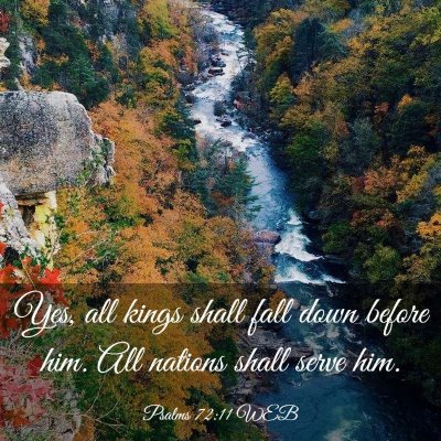 Picture 03 - Psalms 72:11 WEB - Yes, all kings shall fall down before him. All - Bible Verse Picture
