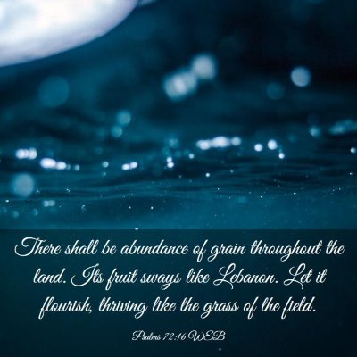 Picture 03 - Psalms 72:16 WEB - There shall be abundance of grain throughout the - Bible Verse Picture