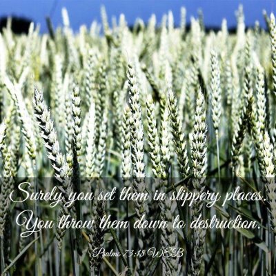 Picture 03 - Psalms 73:18 WEB - Surely you set them in slippery places. You throw - Bible Verse Picture