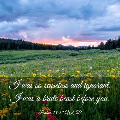 Picture 03 - Psalms 73:22 WEB - I was so senseless and ignorant. I was a brute - Bible Verse Picture