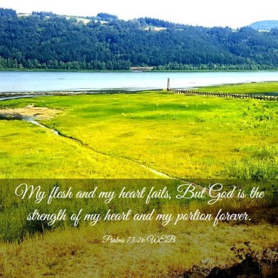 Picture 03 - Psalms 73:26 WEB - My flesh and my heart fails, But God is the - Bible Verse Picture