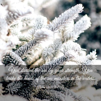 Picture 03 - Psalms 74:13 WEB - You divided the sea by your strength. You broke - Bible Verse Picture