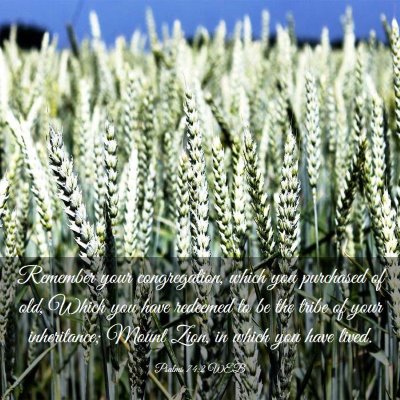 Picture 03 - Psalms 74:2 WEB - Remember your congregation, which you purchased - Bible Verse Picture