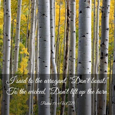 Picture 03 - Psalms 75:4 WEB - I said to the arrogant, 