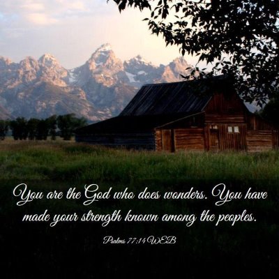 Picture 03 - Psalms 77:14 WEB - You are the God who does wonders. You have made - Bible Verse Picture