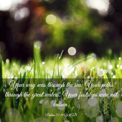Picture 03 - Psalms 77:19 WEB - Your way was through the sea; Your paths through - Bible Verse Picture