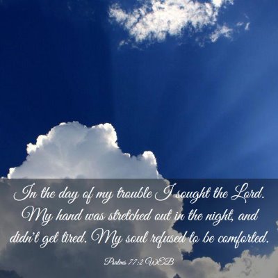 Picture 03 - Psalms 77:2 WEB - In the day of my trouble I sought the Lord. My - Bible Verse Picture