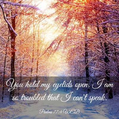 Picture 03 - Psalms 77:4 WEB - You hold my eyelids open. I am so troubled that I - Bible Verse Picture