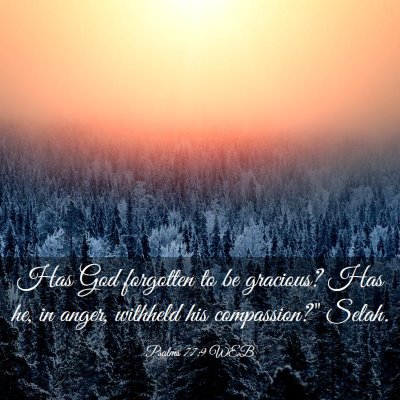 Picture 03 - Psalms 77:9 WEB - Has God forgotten to be gracious? Has he, in - Bible Verse Picture