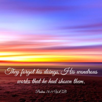 Picture 03 - Psalms 78:11 WEB - They forgot his doings, His wondrous works that - Bible Verse Picture