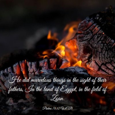 Picture 03 - Psalms 78:12 WEB - He did marvelous things in the sight of their - Bible Verse Picture