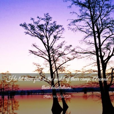 Picture 03 - Psalms 78:28 WEB - He let them fall in the midst of their camp, - Bible Verse Picture