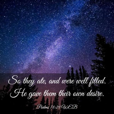 Picture 03 - Psalms 78:29 WEB - So they ate, and were well filled. He gave them - Bible Verse Picture