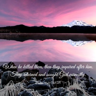 Picture 03 - Psalms 78:34 WEB - When he killed them, then they inquired after - Bible Verse Picture