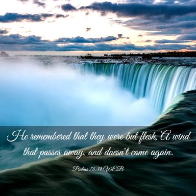 Picture 03 - Psalms 78:39 WEB - He remembered that they were but flesh, A wind - Bible Verse Picture