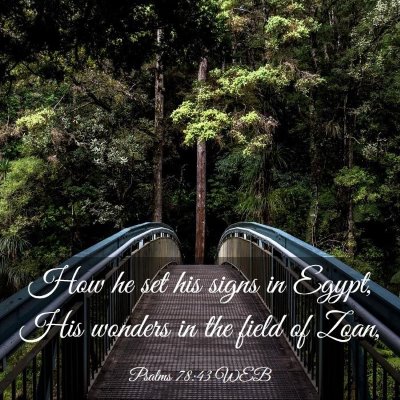 Picture 03 - Psalms 78:43 WEB - How he set his signs in Egypt, His wonders in the - Bible Verse Picture
