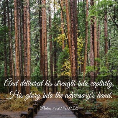 Picture 03 - Psalms 78:61 WEB - And delivered his strength into captivity, His - Bible Verse Picture